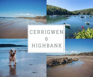 Cerrigwen & Highbank Cottages
