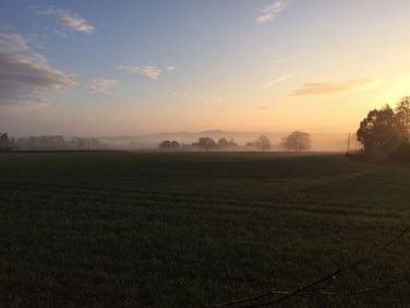 Early morning sunrise- taken from Txoko