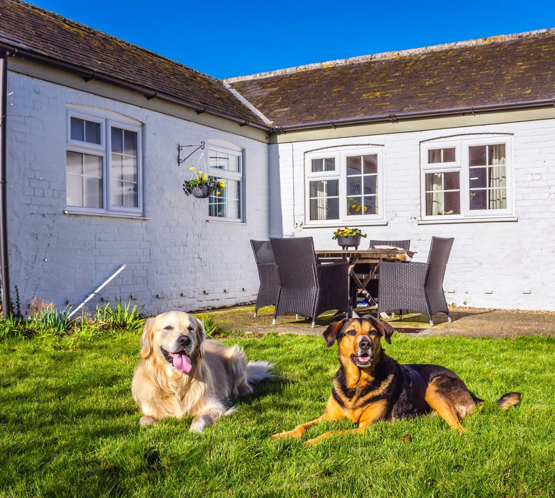 dog friendly cottages with large enclosed garden