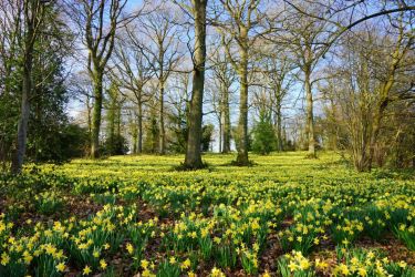 Explore the Forest of Dean - photo provided by Independent Cottages