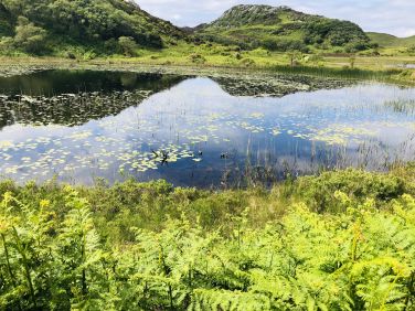 Lily Lochs - take a walk along the hill road to the Lily Lochs