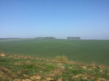 Early morning - 5 minutes walk from the cottage