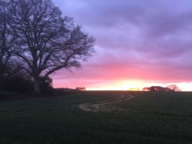 Evening sunset April 2016