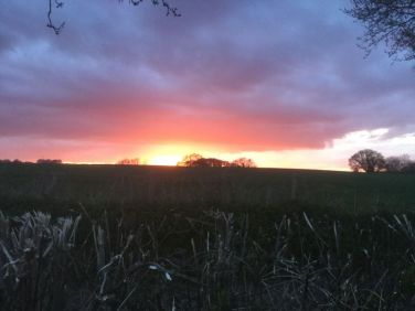 Evening sunset April 2016