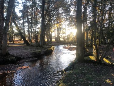 Puttles Bridge New Forest A short drive
