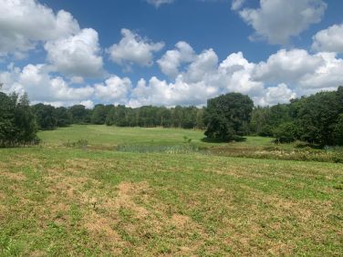 View from Breck field, back of lake