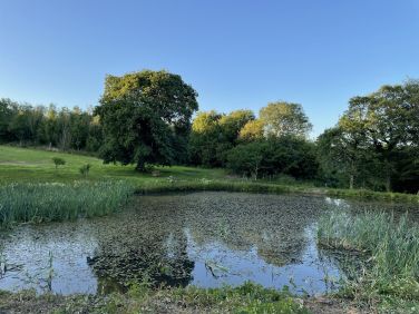 Early evening at the lake