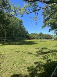 Beautiful walks in 75 acre woodland