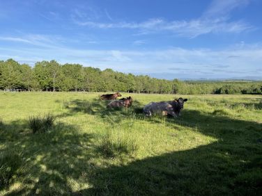 Clematis Cottage at Swardicott Farm