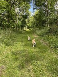 Clematis Cottage at Swardicott Farm