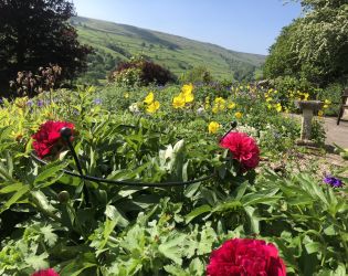 Hillcrest's cottage garden is a riot of colour ..