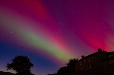 Northern Lights. Hillcrest has dark skies and if you are very lucky they will dance with colour.