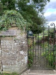 Community orchard across the road
