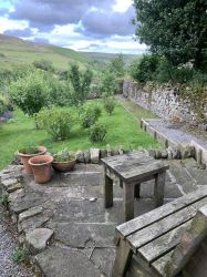 In the community orchard