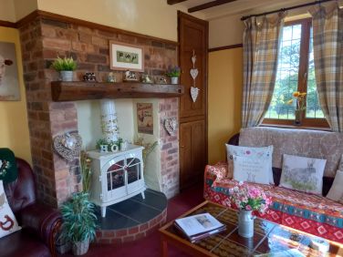 Electric wood burner for winter ambience