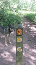 The Sandstone Trail and the Shropshire Way walks from the door step