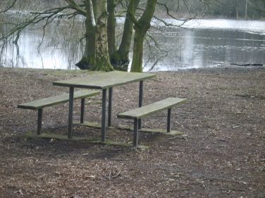 Brown Moss Nature Reserve