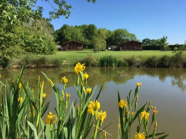 Snowdrop at Stretton Lakes Lodges