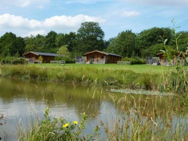 Snowdrop at Stretton Lakes Lodges