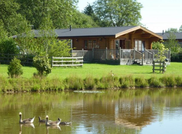 Snowdrop at Stretton Lakes Lodges