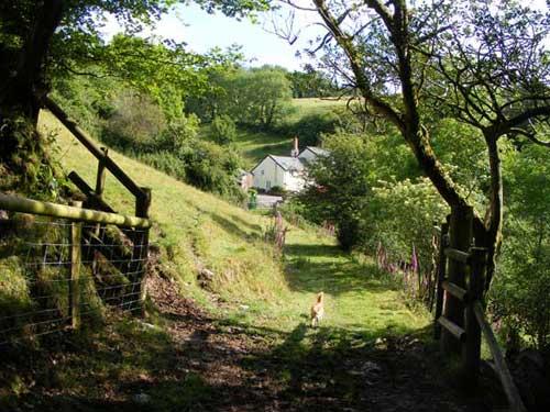 Copper Kettle Cottage Rental In Exmoor Sleeps 5 Farm Stay Wifi