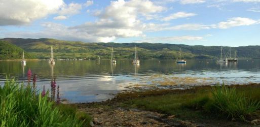 The shoreline below Crosple Cottage.