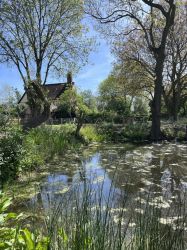 Looking back to Cocketts across the pond