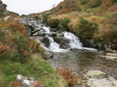 The River Lyd near to Brat Tor