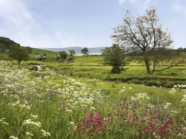 A haven for wildlife and tranquil setting