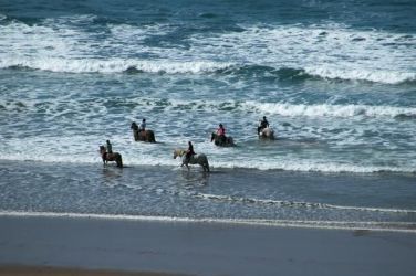 Enjoy the thrill of horse riding in the sea (riding stables nearby)