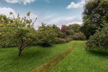 Almost an acre to explore including an orchard and small river