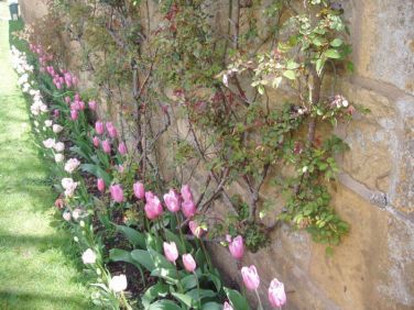 Lovely gardens for relaxing in the warmer months