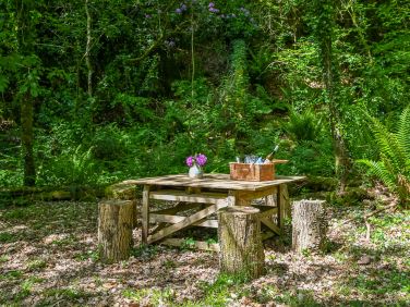 Greenery all around you at Somers Hiscott.