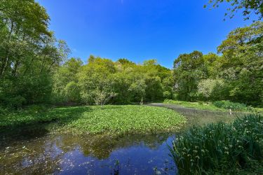Big pond a place of tranquility and calm to absorb the wildlife sounds and smells at Somers Hiscott