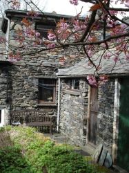 Bench for sunbathing by the cherry tree