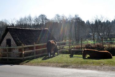 Mary's Barn