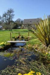 Where there is a pond