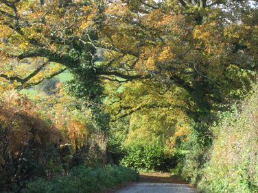 Wander down the country lanes