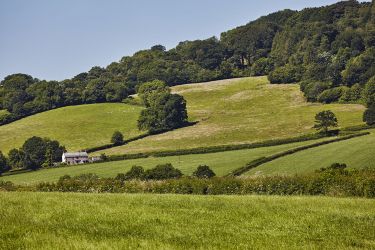 Just one of the  many beautiful views that you'll find In the surrounding countryside