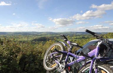 Mountain biking in the Brechfa Forest a must.