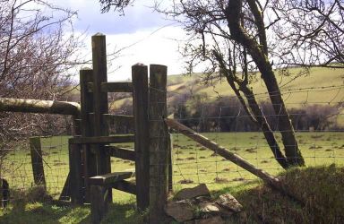 Carmarthenshire, great places for walking.