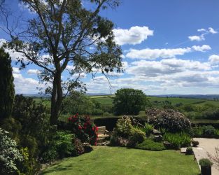 View from the living room and bedroom