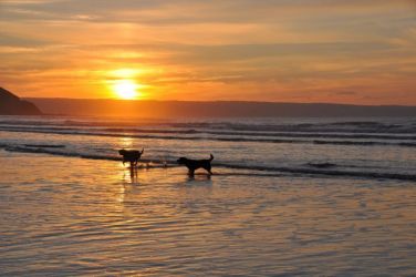 Take the dog for a blast at Westward Ho!, photo provided by Independent Cottages