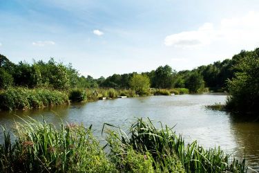 Lake for fishing on-site
