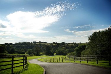 Entrance drive