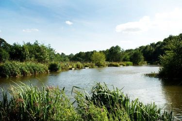 Fishing pond for guests use