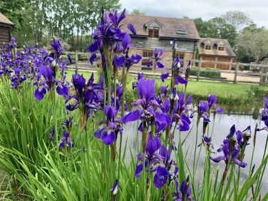 When life stays still