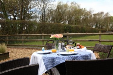 Nice start for a new day :)