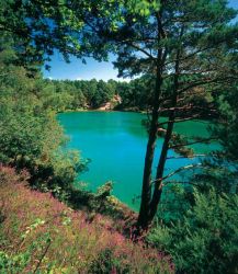 Blue Pools - 10 min walk from your door :)