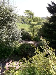 Overview of garden area.
